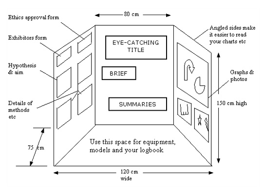 Display layout information